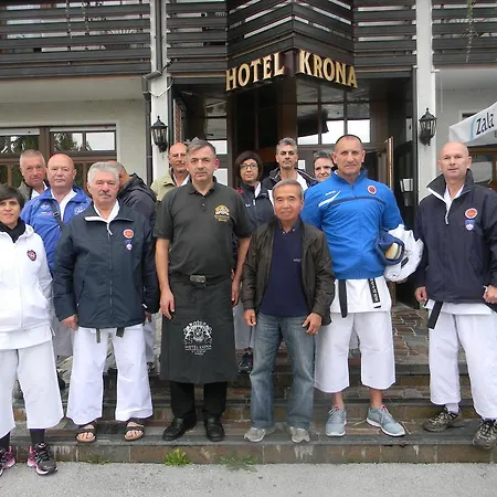 Hotel Krona Domzale